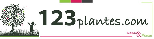 Logo du site en ligne 123plantes.com