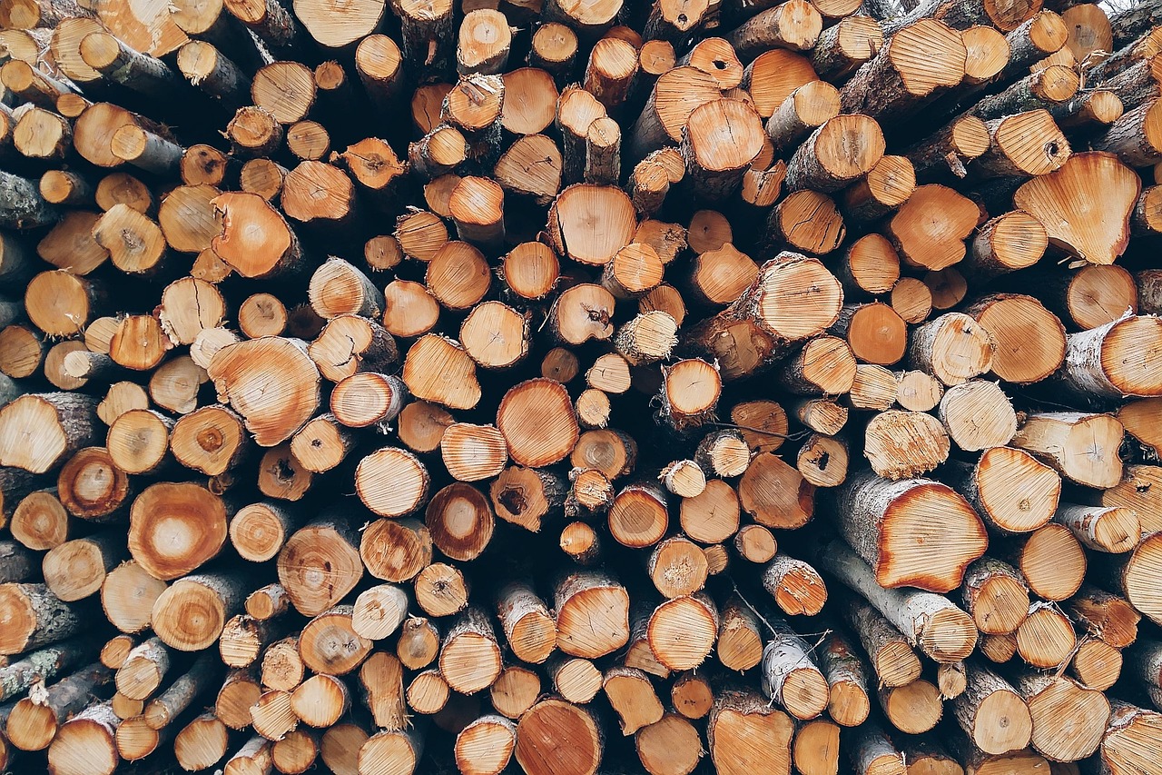 Pourquoi utiliser du bois de chauffage de merisier et où en acheter?